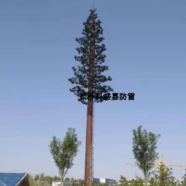 這是什么？看到圖先猜猜再進來，猜對了的都是公雞中的戰(zhàn)斗機